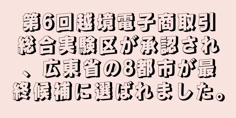 第6回越境電子商取引総合実験区が承認され、広東省の8都市が最終候補に選ばれました。
