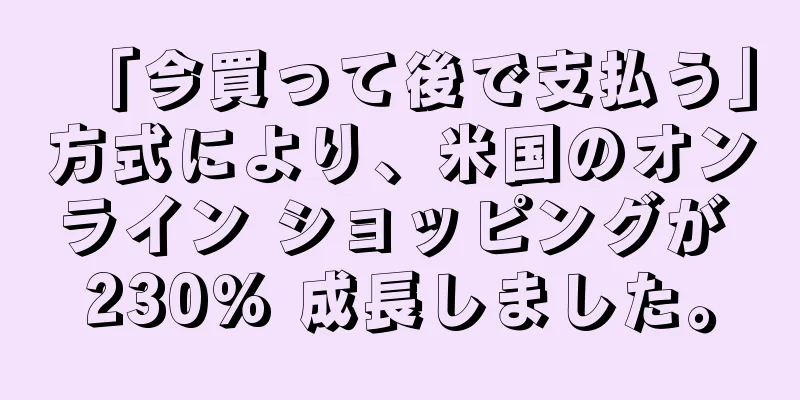 「今買って後で支払う」方式により、米国のオンライン ショッピングが 230% 成長しました。