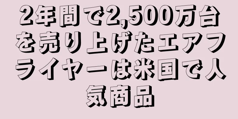 2年間で2,500万台を売り上げたエアフライヤーは米国で人気商品