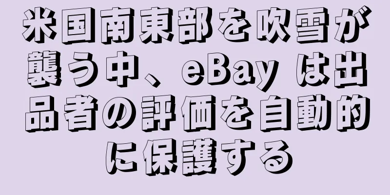 米国南東部を吹雪が襲う中、eBay は出品者の評価を自動的に保護する
