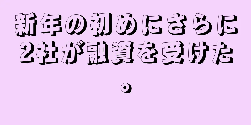 新年の初めにさらに2社が融資を受けた。