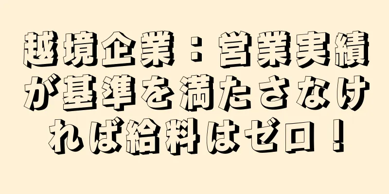 越境企業：営業実績が基準を満たさなければ給料はゼロ！