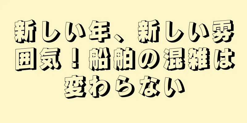 新しい年、新しい雰囲気！船舶の混雑は変わらない