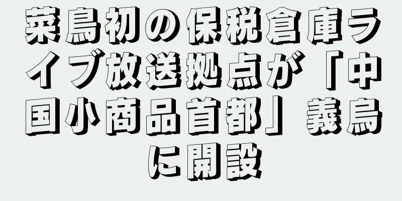 菜鳥初の保税倉庫ライブ放送拠点が「中国小商品首都」義烏に開設