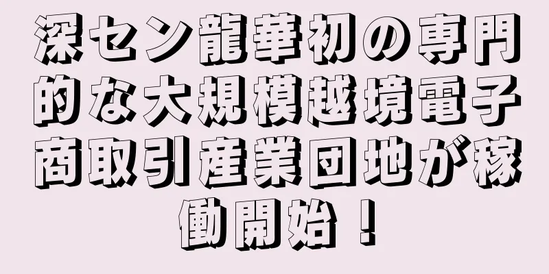深セン龍華初の専門的な大規模越境電子商取引産業団地が稼働開始！