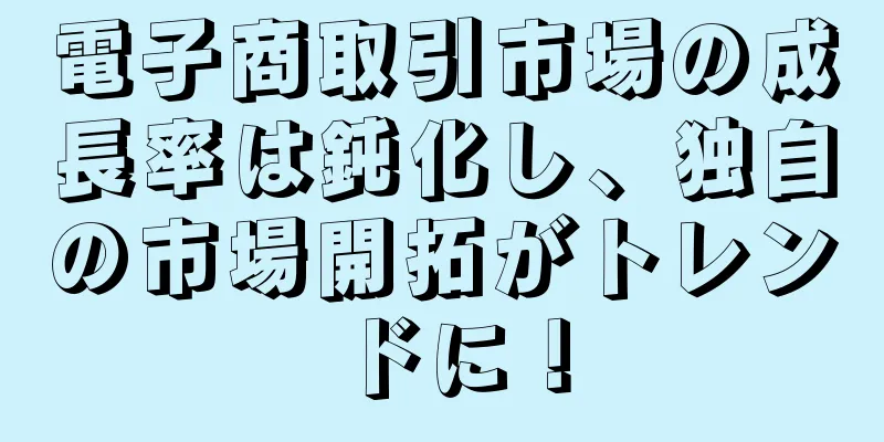 電子商取引市場の成長率は鈍化し、独自の市場開拓がトレンドに！