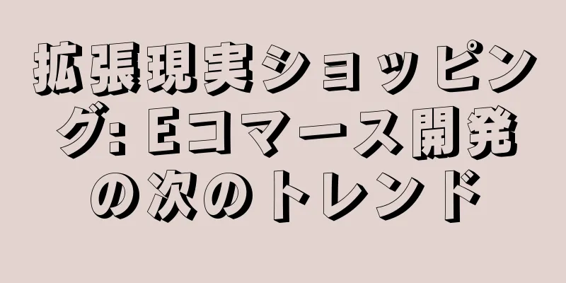 拡張現実ショッピング: Eコマース開発の次のトレンド