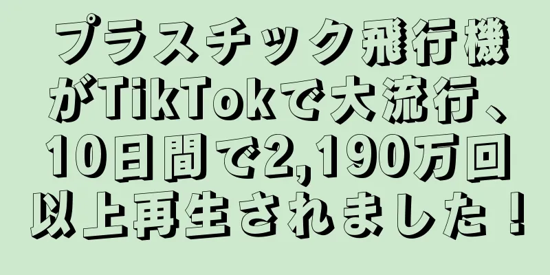 プラスチック飛行機がTikTokで大流行、10日間で2,190万回以上再生されました！