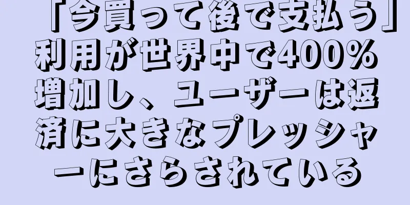 「今買って後で支払う」利用が世界中で400%増加し、ユーザーは返済に大きなプレッシャーにさらされている
