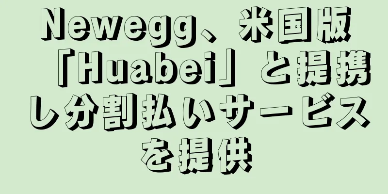Newegg、米国版「Huabei」と提携し分割払いサービスを提供