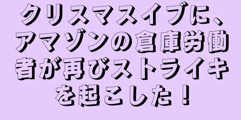 クリスマスイブに、アマゾンの倉庫労働者が再びストライキを起こした！