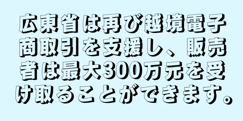 広東省は再び越境電子商取引を支援し、販売者は最大300万元を受け取ることができます。