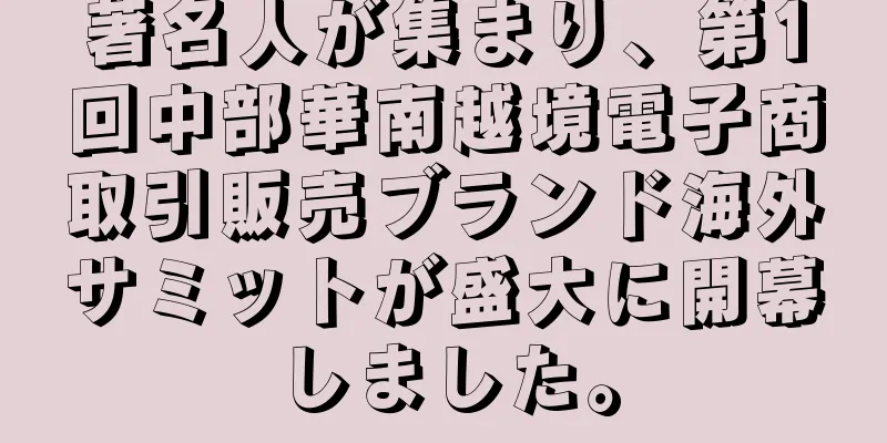著名人が集まり、第1回中部華南越境電子商取引販売ブランド海外サミットが盛大に開幕しました。