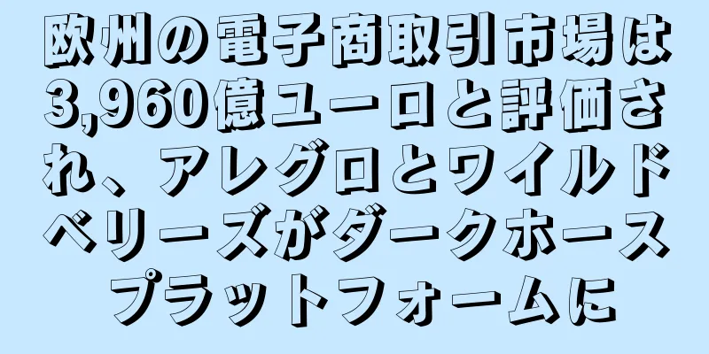 欧州の電子商取引市場は3,960億ユーロと評価され、アレグロとワイルドベリーズがダークホースプラットフォームに