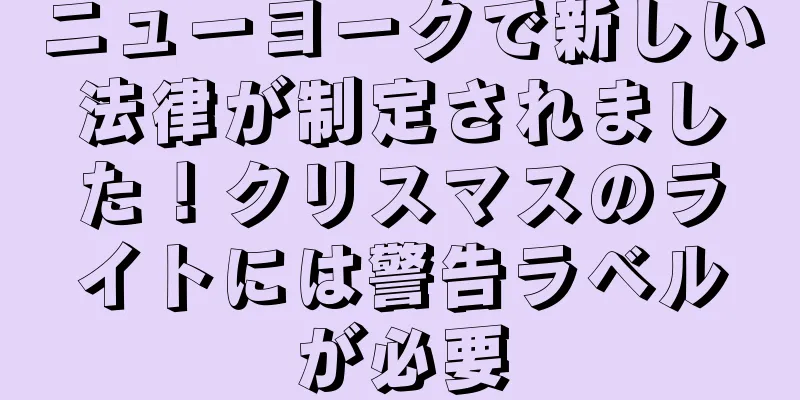 ニューヨークで新しい法律が制定されました！クリスマスのライトには警告ラベルが必要