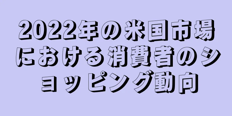 2022年の米国市場における消費者のショッピング動向