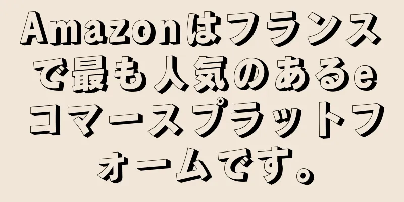 Amazonはフランスで最も人気のあるeコマースプラットフォームです。