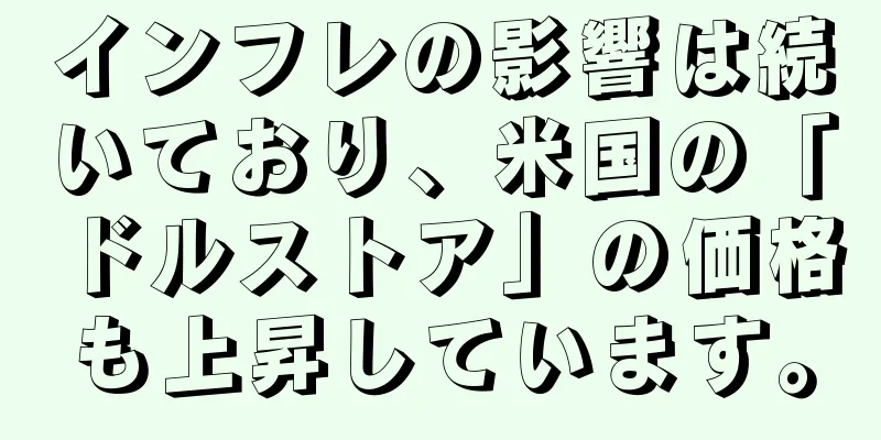 インフレの影響は続いており、米国の「ドルストア」の価格も上昇しています。