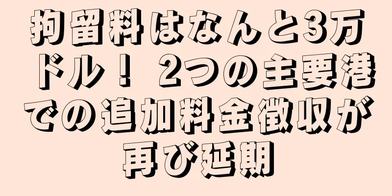 拘留料はなんと3万ドル！ 2つの主要港での追加料金徴収が再び延期