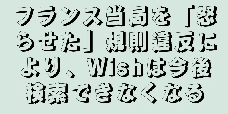 フランス当局を「怒らせた」規則違反により、Wishは今後検索できなくなる