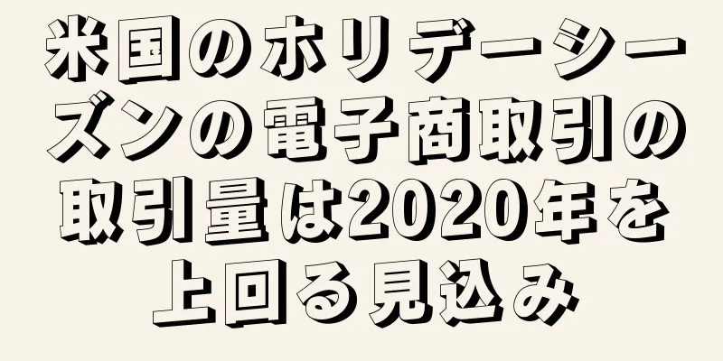 米国のホリデーシーズンの電子商取引の取引量は2020年を上回る見込み
