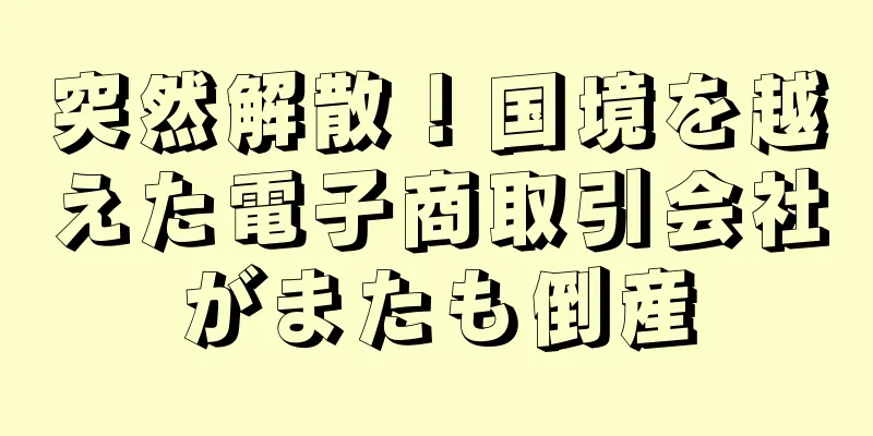 突然解散！国境を越えた電子商取引会社がまたも倒産