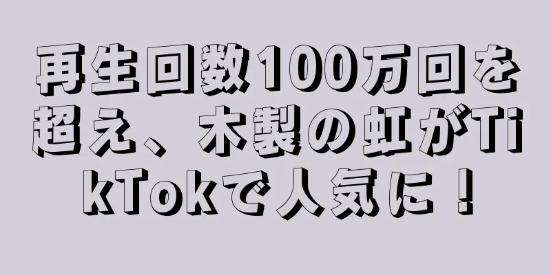 再生回数100万回を超え、木製の虹がTikTokで人気に！