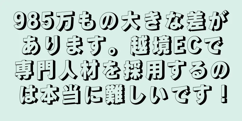 985万もの大きな差があります。越境ECで専門人材を採用するのは本当に難しいです！
