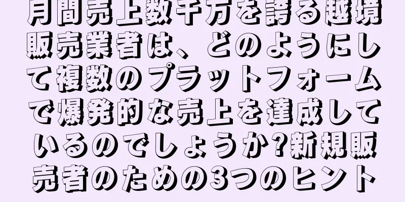 月間売上数千万を誇る越境販売業者は、どのようにして複数のプラットフォームで爆発的な売上を達成しているのでしょうか?新規販売者のための3つのヒント