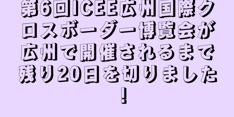 第6回ICEE広州国際クロスボーダー博覧会が広州で開催されるまで残り20日を切りました！