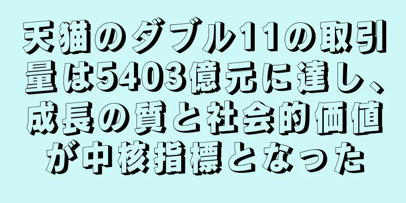天猫のダブル11の取引量は5403億元に達し、成長の質と社会的価値が中核指標となった