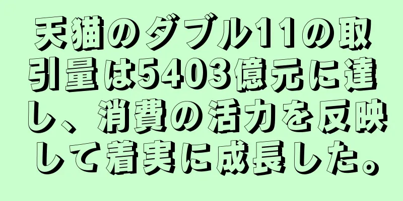 天猫のダブル11の取引量は5403億元に達し、消費の活力を反映して着実に成長した。