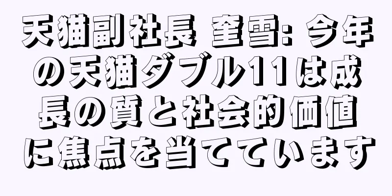 天猫副社長 奎雪: 今年の天猫ダブル11は成長の質と社会的価値に焦点を当てています