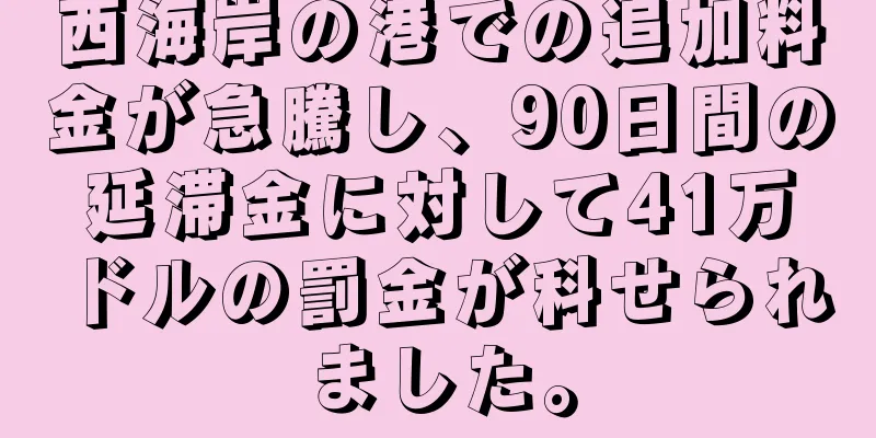 西海岸の港での追加料金が急騰し、90日間の延滞金に対して41万ドルの罰金が科せられました。