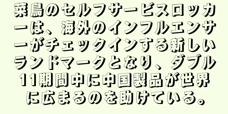 菜鳥のセルフサービスロッカーは、海外のインフルエンサーがチェックインする新しいランドマークとなり、ダブル11期間中に中国製品が世界に広まるのを助けている。