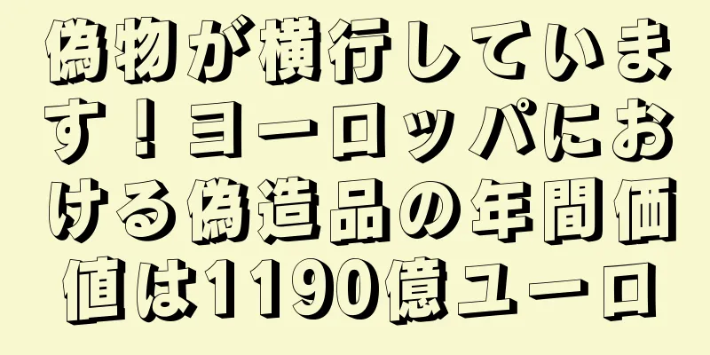 偽物が横行しています！ヨーロッパにおける偽造品の年間価値は1190億ユーロ