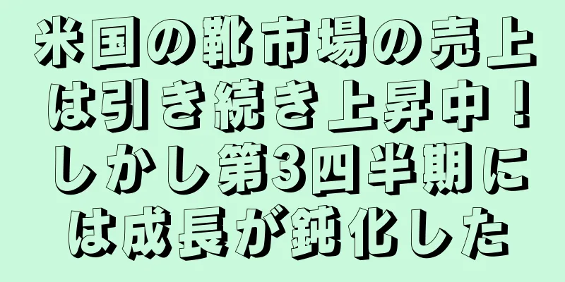 米国の靴市場の売上は引き続き上昇中！しかし第3四半期には成長が鈍化した