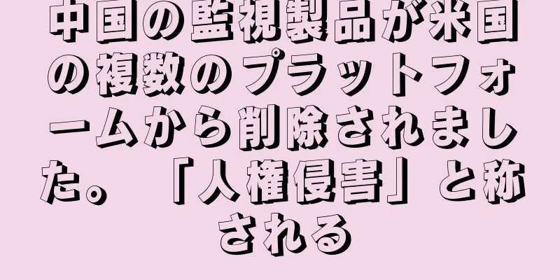 中国の監視製品が米国の複数のプラットフォームから削除されました。 「人権侵害」と称される