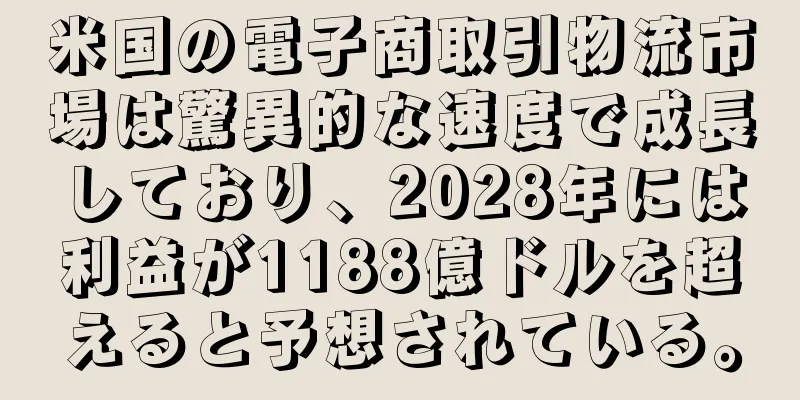 米国の電子商取引物流市場は驚異的な速度で成長しており、2028年には利益が1188億ドルを超えると予想されている。
