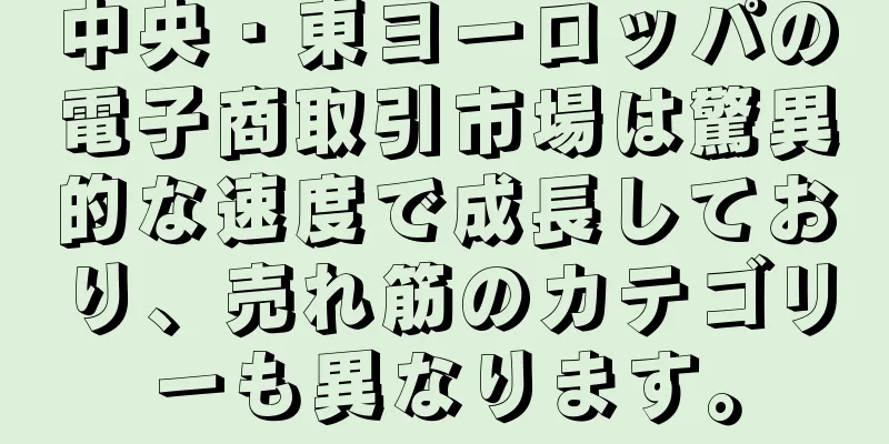 中央・東ヨーロッパの電子商取引市場は驚異的な速度で成長しており、売れ筋のカテゴリーも異なります。