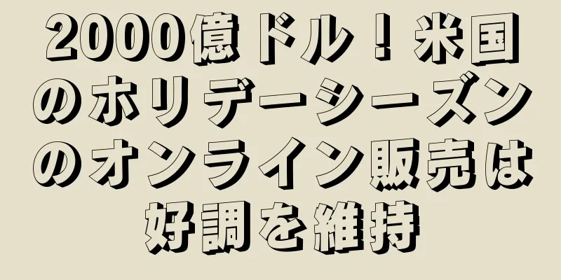 2000億ドル！米国のホリデーシーズンのオンライン販売は好調を維持