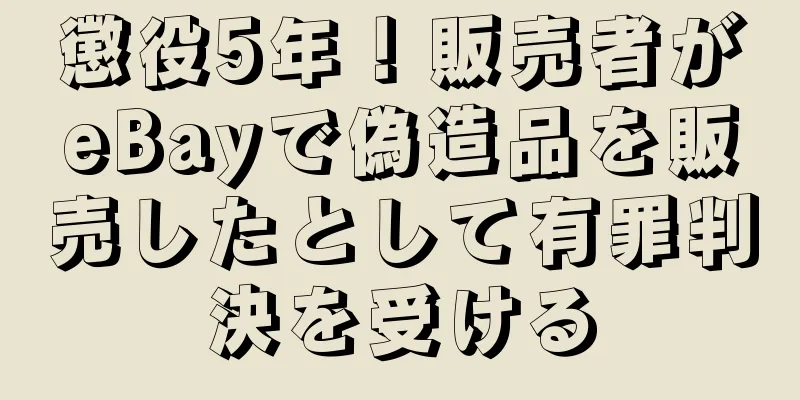 懲役5年！販売者がeBayで偽造品を販売したとして有罪判決を受ける