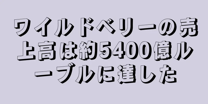 ワイルドベリーの売上高は約5400億ルーブルに達した