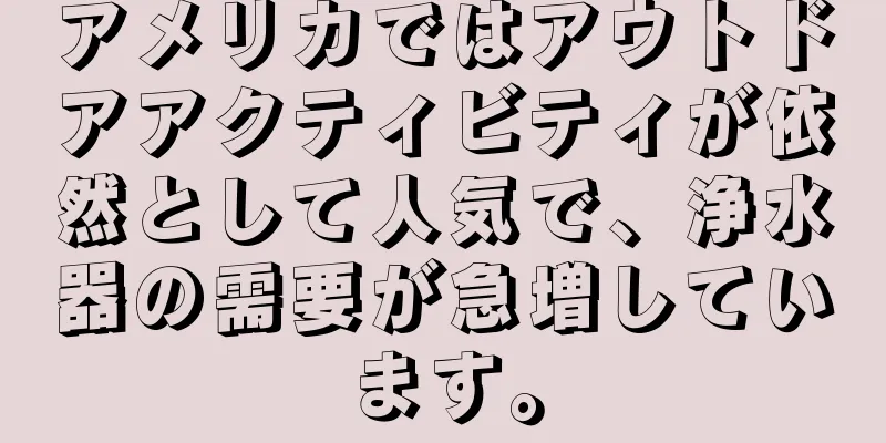 アメリカではアウトドアアクティビティが依然として人気で、浄水器の需要が急増しています。