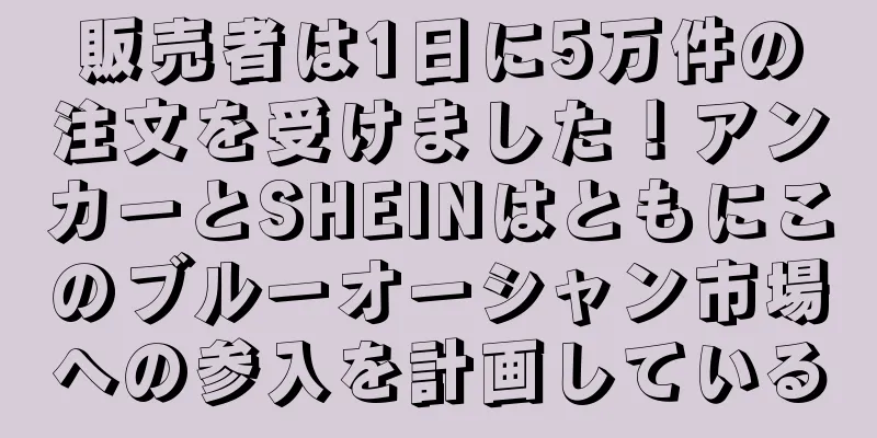 販売者は1日に5万件の注文を受けました！アンカーとSHEINはともにこのブルーオーシャン市場への参入を計画している