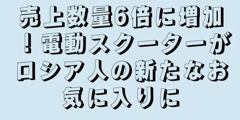 売上数量6倍に増加！電動スクーターがロシア人の新たなお気に入りに