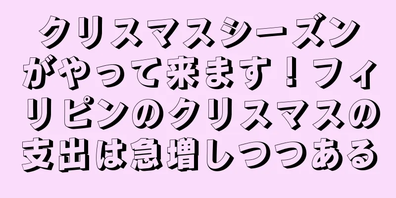 クリスマスシーズンがやって来ます！フィリピンのクリスマスの支出は急増しつつある