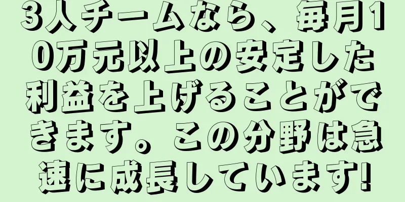 3人チームなら、毎月10万元以上の安定した利益を上げることができます。この分野は急速に成長しています!