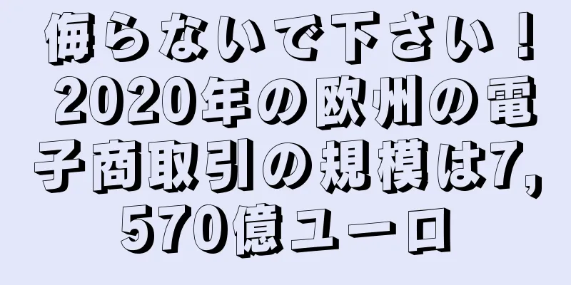 侮らないで下さい！ 2020年の欧州の電子商取引の規模は7,570億ユーロ