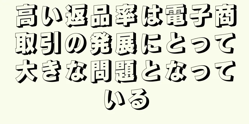 高い返品率は電子商取引の発展にとって大きな問題となっている